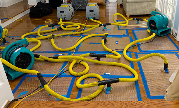 Professional Burst Pipe Water Damage technician working in Ridgefield Park, NJ